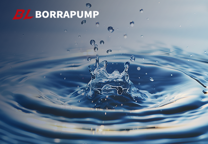 BORRAPUMP