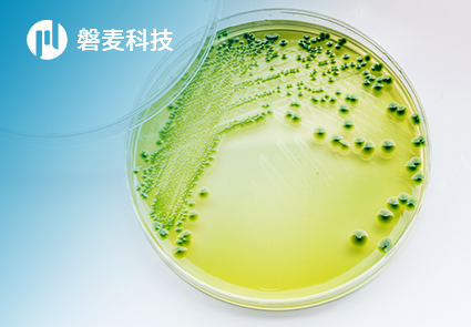 磐麥科技