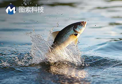 圖索科技