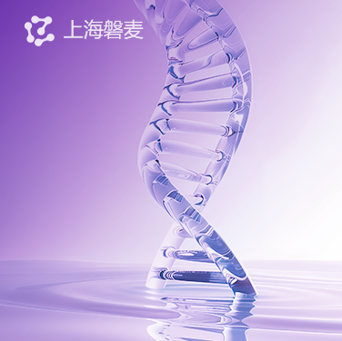 上海磐麥